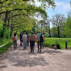 02052026-WandelingDenHam-05