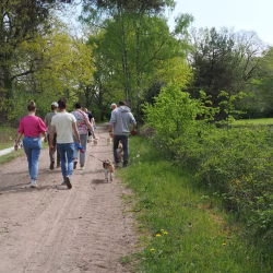 02052026-WandelingDenHam-07