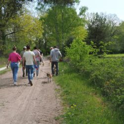 02052026-WandelingDenHam-07