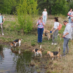 02052026-WandelingDenHam-09
