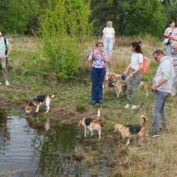 02052026-WandelingDenHam-09