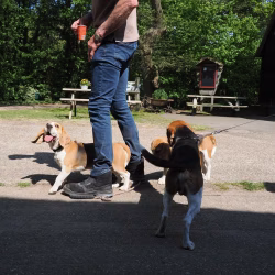 02052026-WandelingDenHam-21