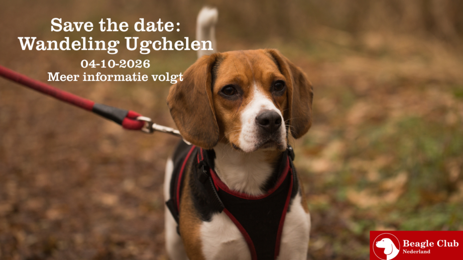 04-10-2026 Beagle Wandeling Ugchelen (Gelderland)
