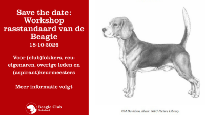 18-10-2026 Workshop rasstandaard van de Beagle