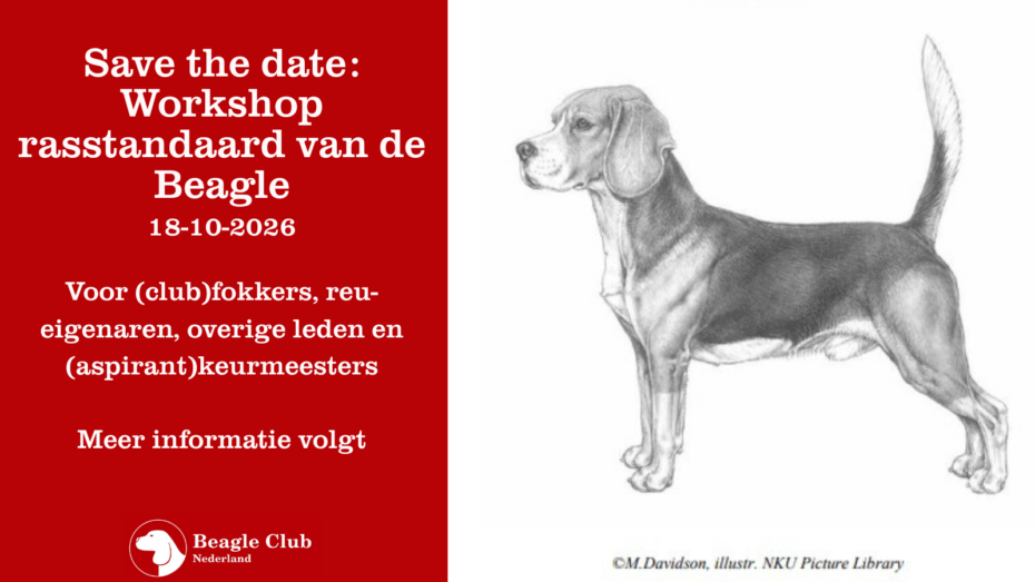 18-10-2026 Workshop rasstandaard van de Beagle