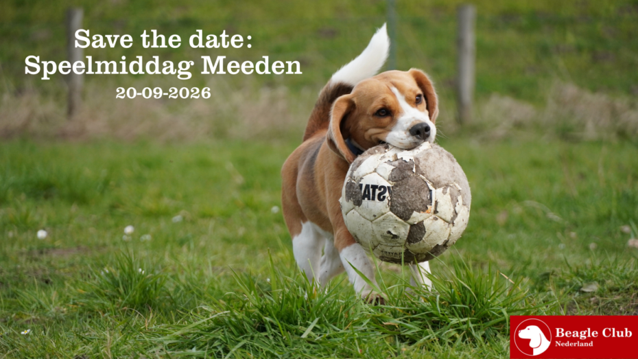 20-09-2026 Beagle Speelmiddag Meeden (Midden-Groningen)