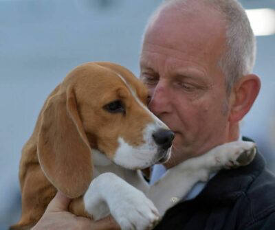 Pip (Roeper’s Angel in the morning) *14-08-2016 – †13-02-2026