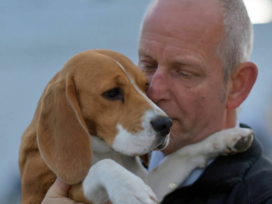 Pip (Roeper’s Angel in the morning) *14-08-2016 – †13-02-2026