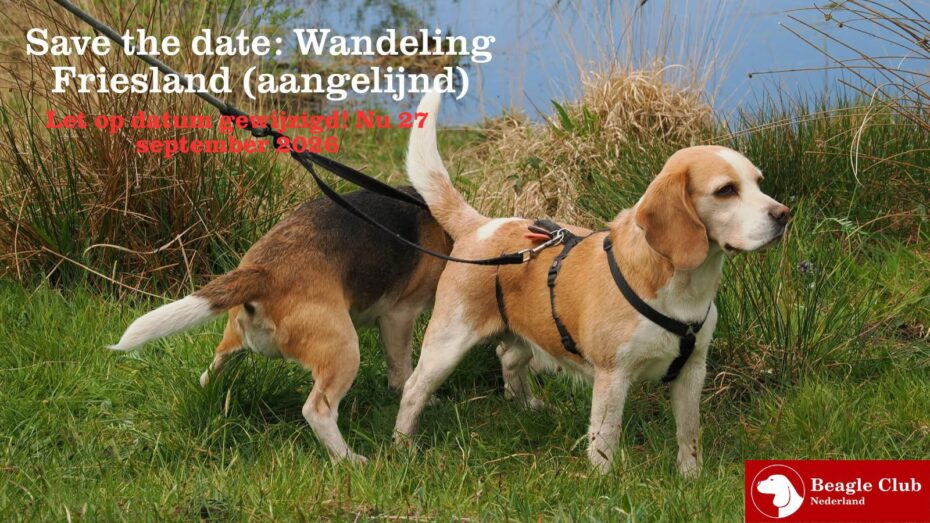 Verplaatsing wandeling Friesland van zondag 28 juni naar zondag 27 september