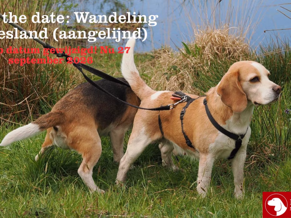 Verplaatsing wandeling Friesland van zondag 28 juni naar zondag 27 september