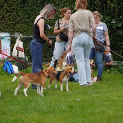 DSC08669