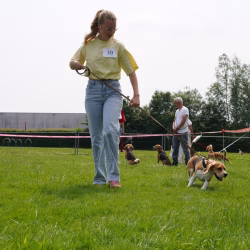 DSC09062