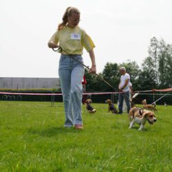 DSC09062